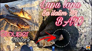 grouper hunting | Unlock my first lapu2x ( grouper )