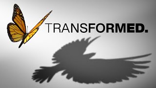 Transformed - Joey Bonifacio