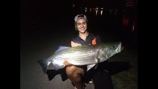 Big Striper! 30 Lb Striped bass at the Cape Cod Canal