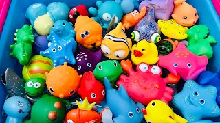 Sea Animals, Zoo Animals, Wild Animals, Farm Animals, Animals For Kids, cute animals