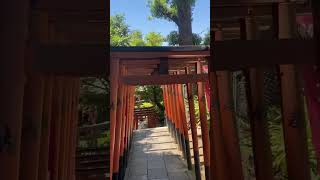 Torii gate tunnel at a shrine in Ueno park.