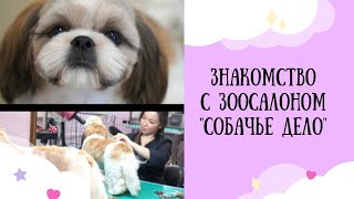 Знакомство с зоосалоном "Собачье дело"🐶