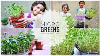 Is it easy to grow micro greens?🤔