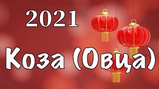 Точный Подробный Гороскоп для Козы (Овцы) на 2021 год Белого Металлического Быка.