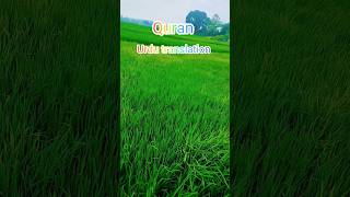 Al Quran urdu translation #alquran #urdu #qurantranslation #islamicstatus #viralvideo