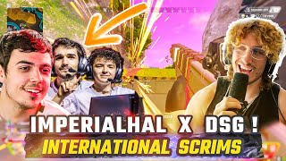 DSG With Hal & these Endzones are TOO OP ! - International SCRIMS - The NiceWigg Watch Party