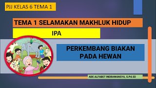 Materi PJJ Kelas 6 IPA Tema 1 st 2 tentang Perkembangbiakan Pada Hewan