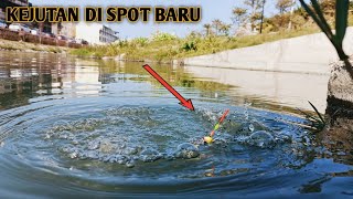 Full Straike,,!! Mancing nila liar pakai umpan lumut sawah di spot baru dapat banyak