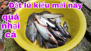 Kết quả của đặt lú ( 6 cửa ngục) kiểu mới#fishtrap