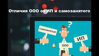 Отличия ООО от ИП или самозанятого что лучше