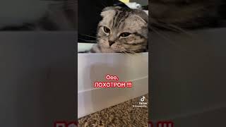 Хотите интересную работу, которая приносит много денег!