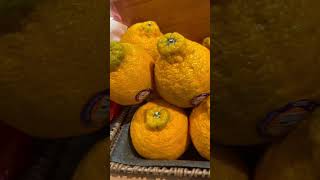 Oranges in Ohio be like look at these