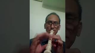 chandan sa vadan chanchal  chitwan #shorts#dhun#flute