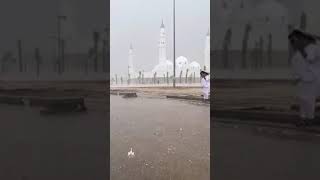 *بارش کے دوران مسجد قبا کے خوبصورت مناظر