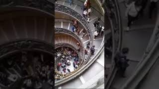 Bramante staircase at the vatican museum #travel #vatican #museum #shorts