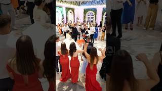 Mateus Frroku Live Performace Wedding