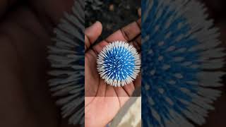 Lightroom best Editing of FLOWER 🌺 //PicsArt photo studio 🔥 shorts YouTube