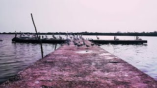 Pesca Submarina - Barra del Tordo, Tamps.