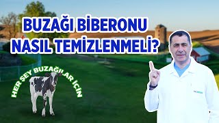 Buzağı biberonu nasıl temizlenmeli?