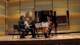 Faure Trio 1st movement