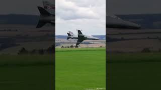 Huge RC fighter jet passing by! #rcplanes #rcairplane #rcjet #toyplane #rcflying