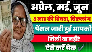 वृद्धा,विधवा,विकलांग अप्रैल,मई,जून की ₹3000 पेंशन खाते में पहुंच गई आपको मिली या नहीं ऐसे चेक करें