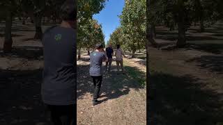 🔊Sound Up! #california #californiafarmers #agriculture #agtech #harvest #pistachios