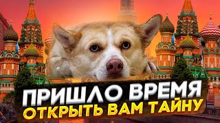 Тайна спустя почти полтора года нашла дом?😱😍 она теперь  Питербурженка?😍