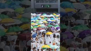 Pilgrims in Kabah #baitullah #pilgrims #kabah #hajj2022 #hajj #makkah #makkahlive #shorts