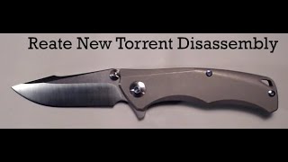 Reate New Torrent Disassembly