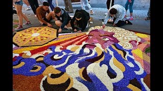 Infiorata di Spello