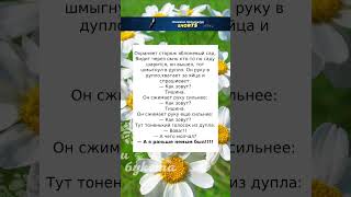 Тоненький голосок из дупла #анекдоты #юмор #шутки #смех