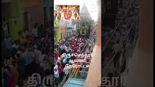 Tiruchendur Avavi Thiruvizha 10th day Therottam