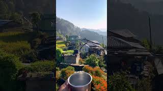 Who loves chaye☕️💛 comments down 💛 #youtubeshorts #hills #foryou #viral #trending #tealover #nomad