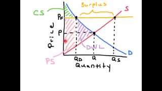 Price Floors - AP Economics