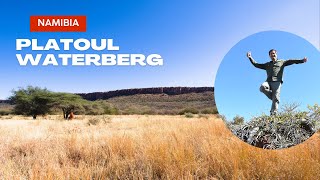 Ne-am pierdut pe platoul Waterberg (Namibia)