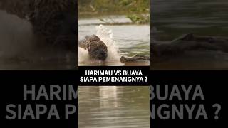 Harimau vs Buaya. Siapa pemenangnya ❓❓❓ 😱🔥 #shorts #shortvideo #short #viralvideo