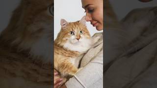 Amor y Cuidado: Cómo Ser el Mejor Dueño para tu Mascota