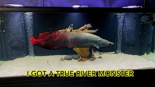 HOLY GRAIL OF MONSTER FISH | 100 New fish (Tour)