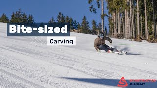 SIA Bite-sized: Carving