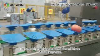 root vegetable and fruit grading machine |vegetable fruit sorting machine sale| potato sorter pricce