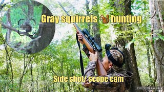 GA gray squirrels 🐿️ hunting / side shot scope cam/ လဲၤခးလံာ်ဃး - 2023