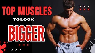 The BEST Muscles to TRAIN for GROWTH