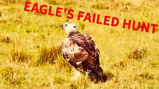 EAGLE'S FAILED HUNT