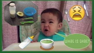 How to make: AVOCADO BABY FOOD + 1st REACTION