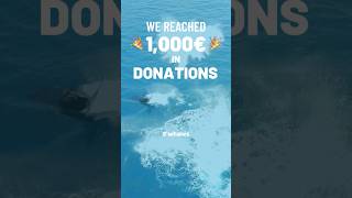 🎉 We’ve Reached 1,000€ in Donations for S’whales Sustainable Marketplace 🐳 #Fundraising #EcoFriendly