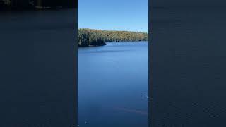 Brewer Lake Algonquin Park Canada