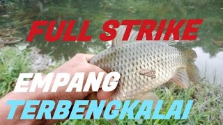 Mancing di empang terbengkalai full strike beragam ikan