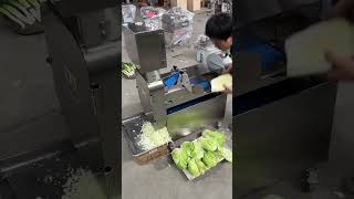 MNS-801 Multi Purpose Vegetable Cutter (WhatsApp: 86-13733892205)