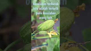 Kesalahan terburuk